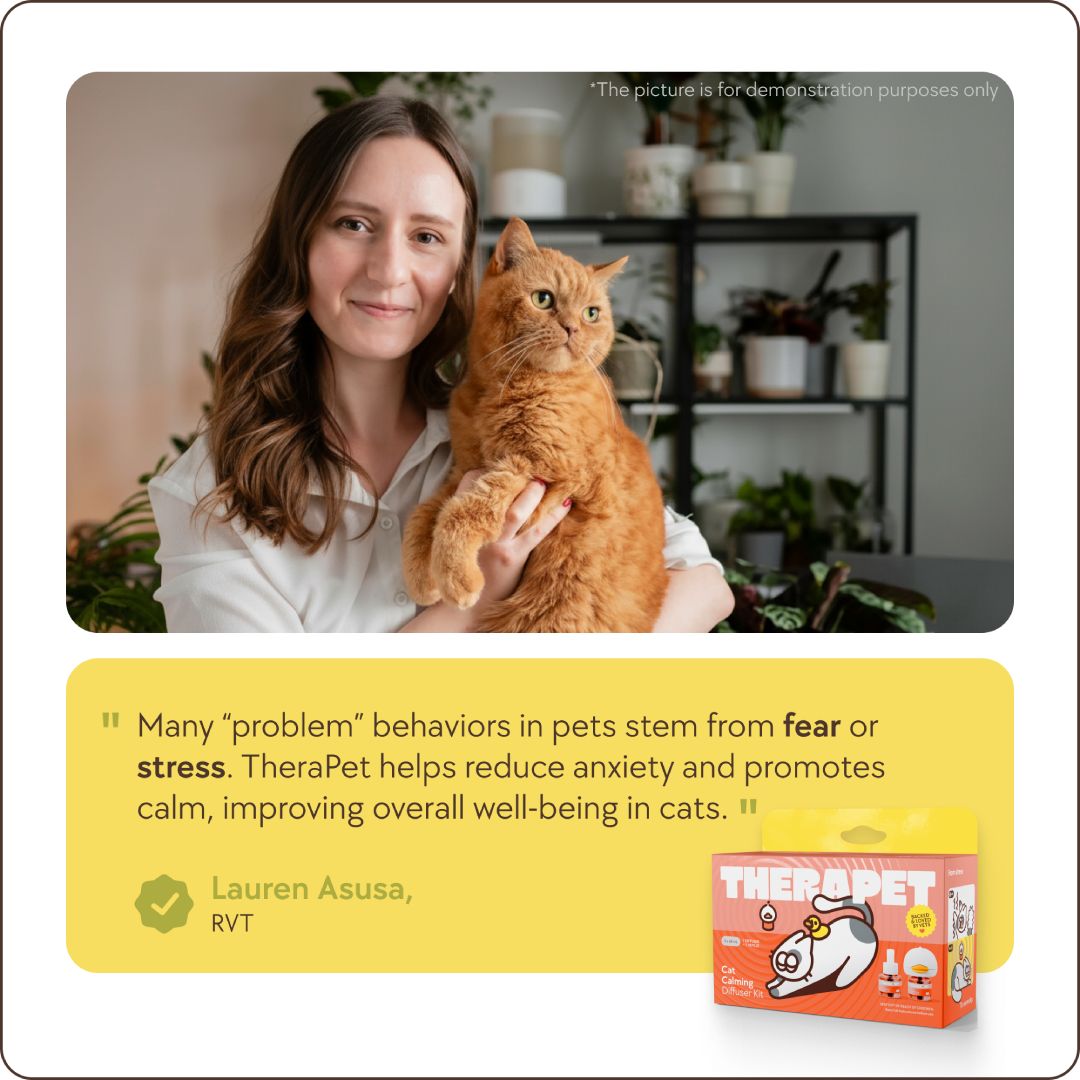 Cats Calming Diffuser Kit