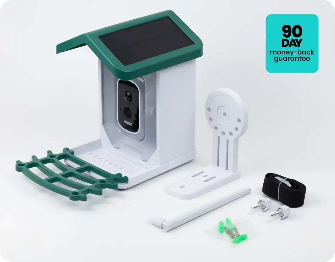 4K Smart Bird Feeder with solar panel