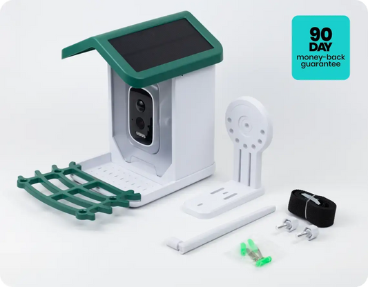 4K Smart Bird Feeder with solar panel