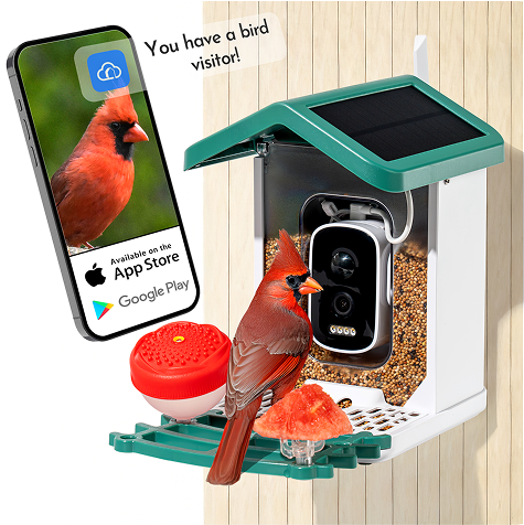 4K Smart Bird Feeder with solar panel